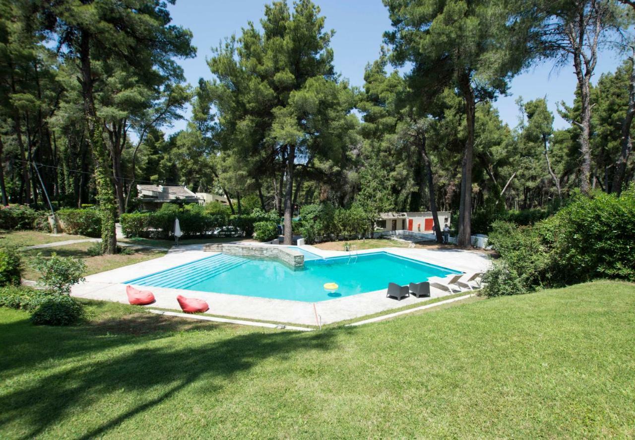 Villa Aurora In Sani With Garden And Pool Sani (Chalkidiki) Exterior foto