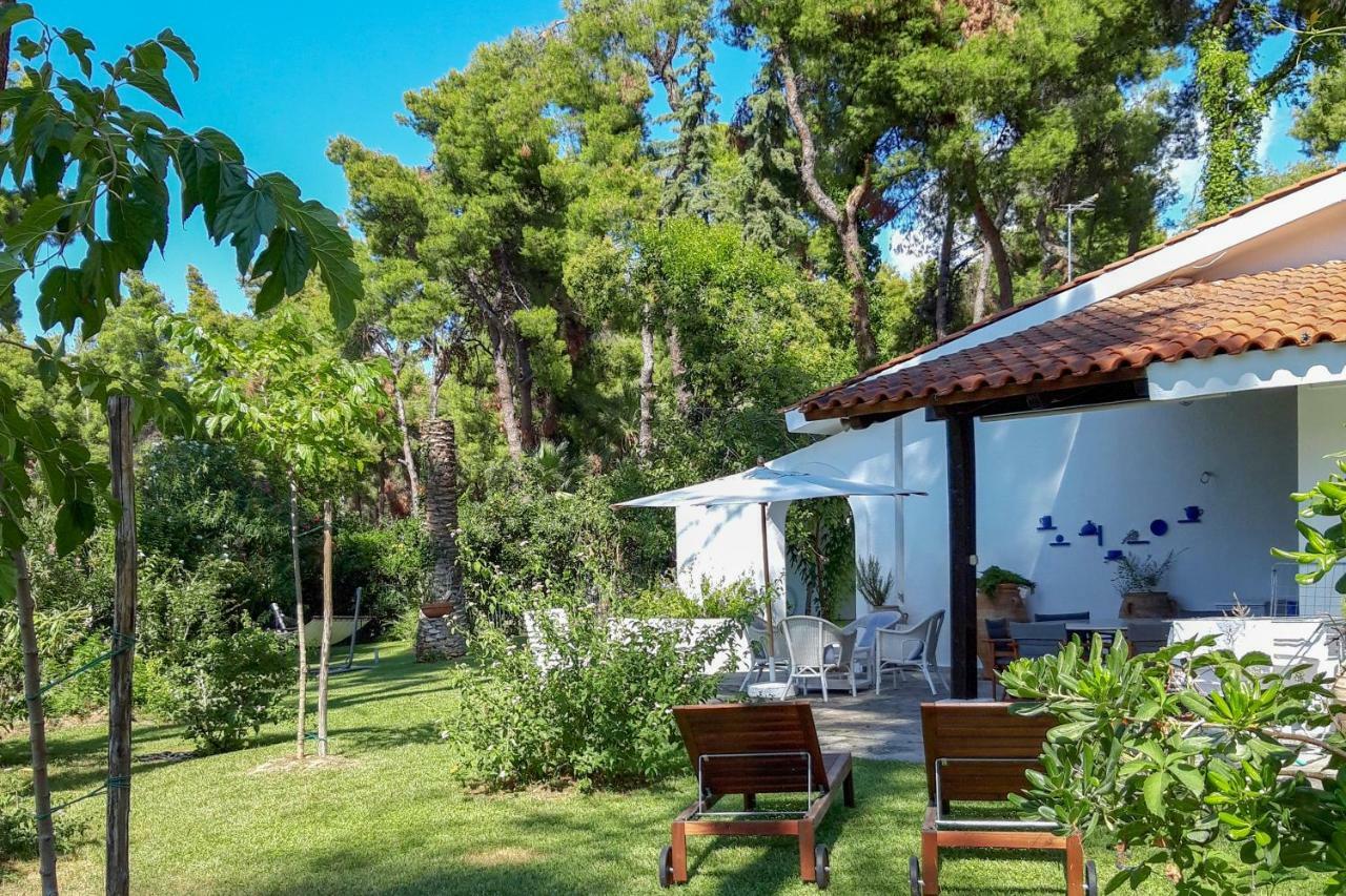 Villa Aurora In Sani With Garden And Pool Sani (Chalkidiki) Exterior foto